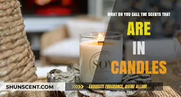 The Art of Candle Scents: A Guide to Aromatic Bliss