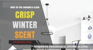 Embracing Serenity: My Favorite Clean Crisp Winter Scents
