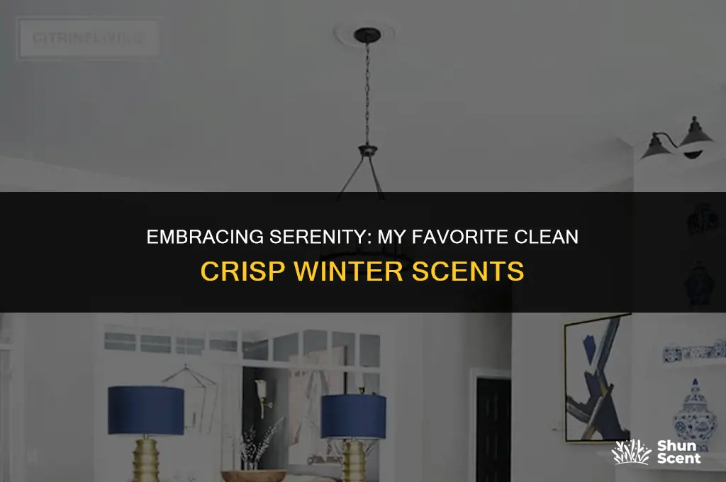 what do you consider a clean crisp winter scent
