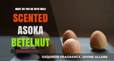Exploring the Uses of Mild Scented Ashoka Betelnut: A Comprehensive Guide