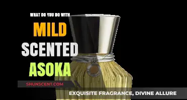 Exploring the Uses of Mild Scented Ashoka: A Comprehensive Guide