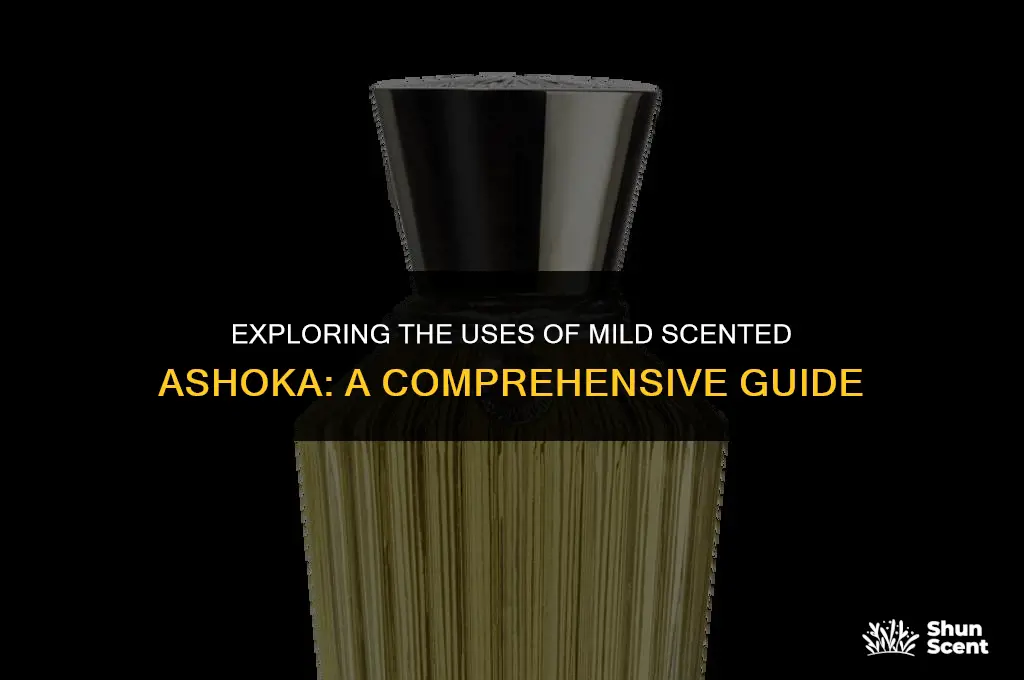 what do you do with mild scented asoka