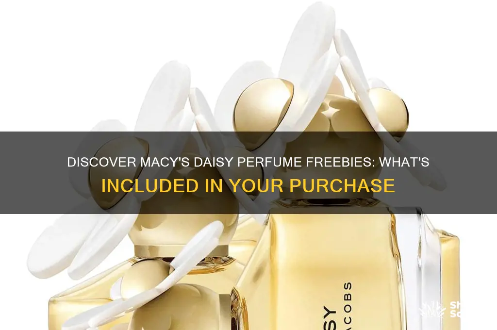 what do you get free with daisy perfume at macys