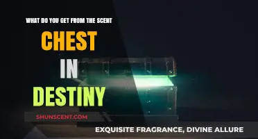 Unlocking Destiny's Secrets: What Treasures Lie Within the Scent Chest?