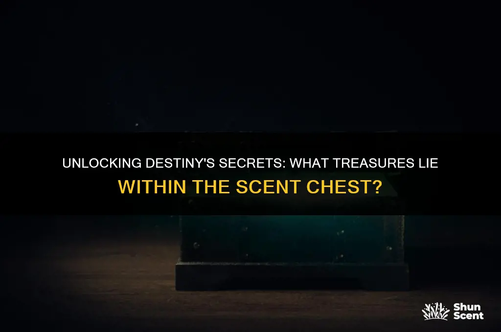 what do you get from the scent chest in destiny