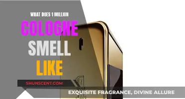 Exploring the Unique Scent of 1 Million Cologne