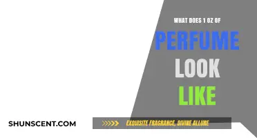 Visualizing 1 Ounce of Perfume: Size, Shape, and Bottle Examples