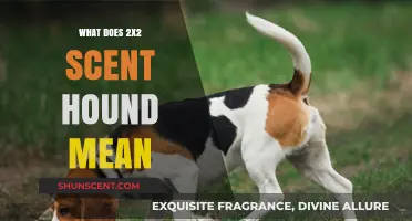 Decoding Canine Scents: What Does 2x2 Scent Hound Mean?