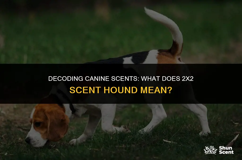 what does 2x2 scent hound mean