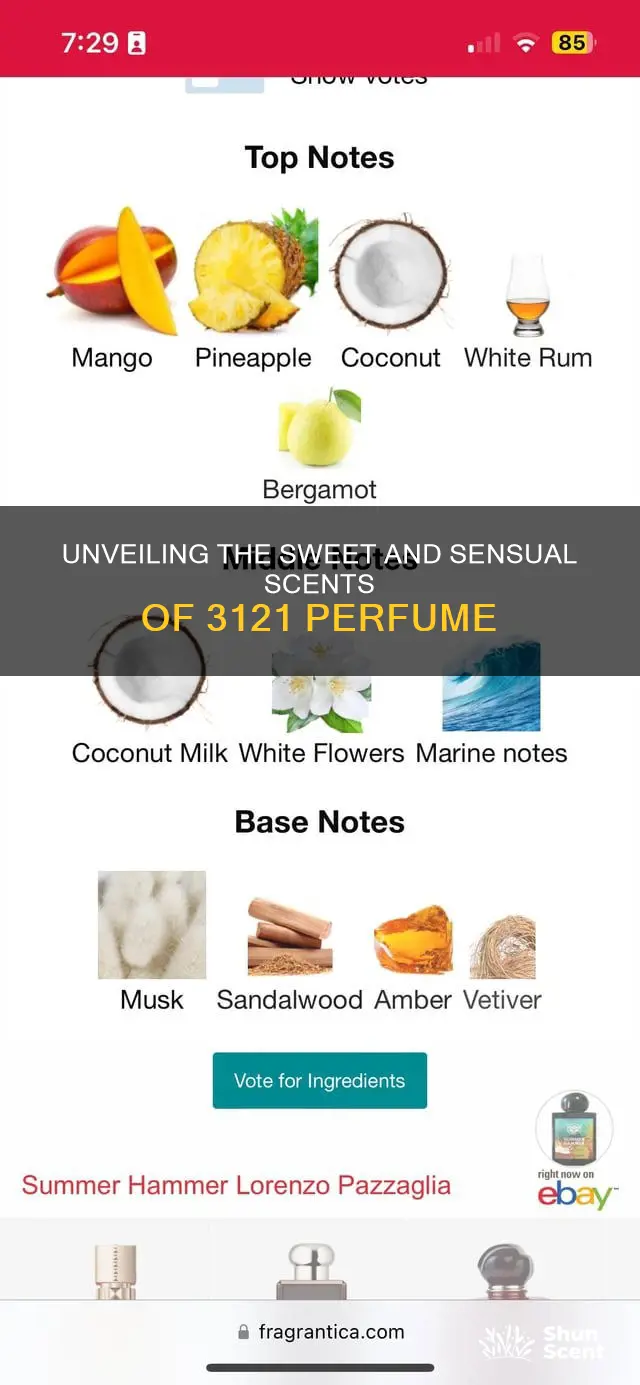 what does 3121 perfume smell like