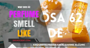 A Fragrance of Mystery: Unveiling 62's Scent