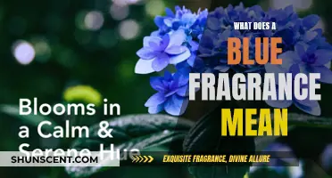 Unraveling the Mystery: What Does Blue Fragrance Symbolize?