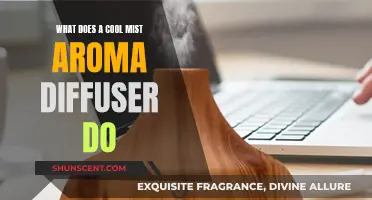 Cool Mist Aroma Diffusers: How Do They Work?