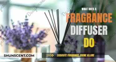 Unveiling the Magic: How Fragrance Diffusers Work