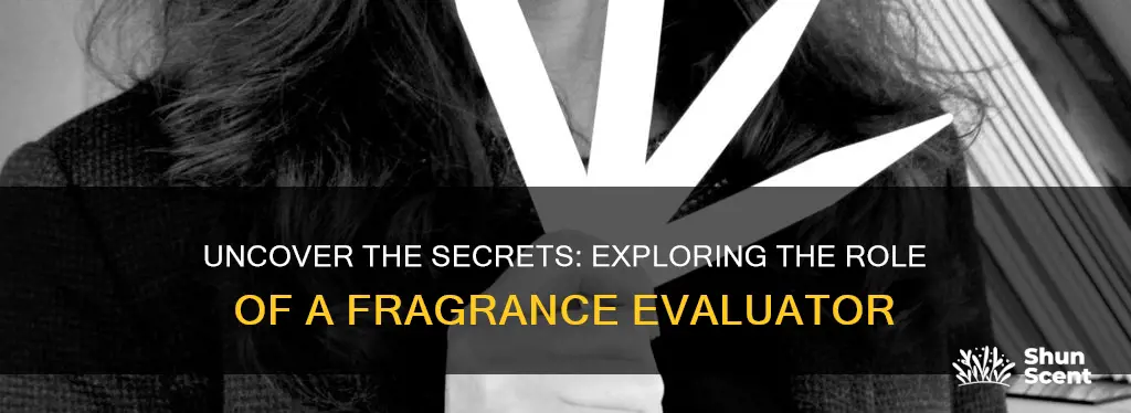 what does a fragrance evaluator do