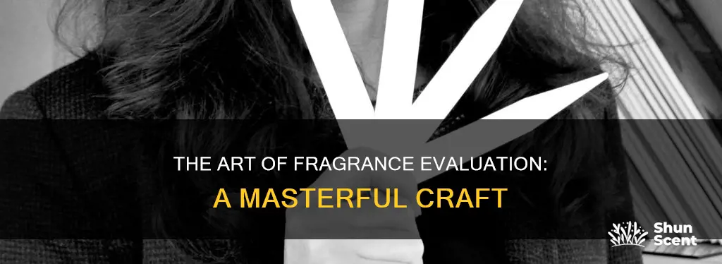 what does a fragrance evaluator do