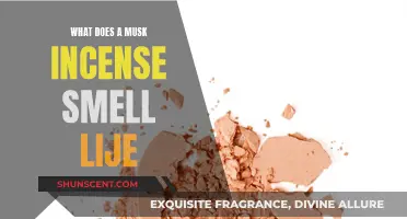 The Musk Incense Experience: A Sensory Journey