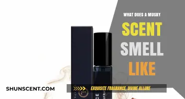 Exploring the Enigmatic Allure of Musky Scents: A Fragrant Journey