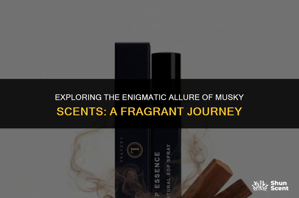what does a musky scent smell like