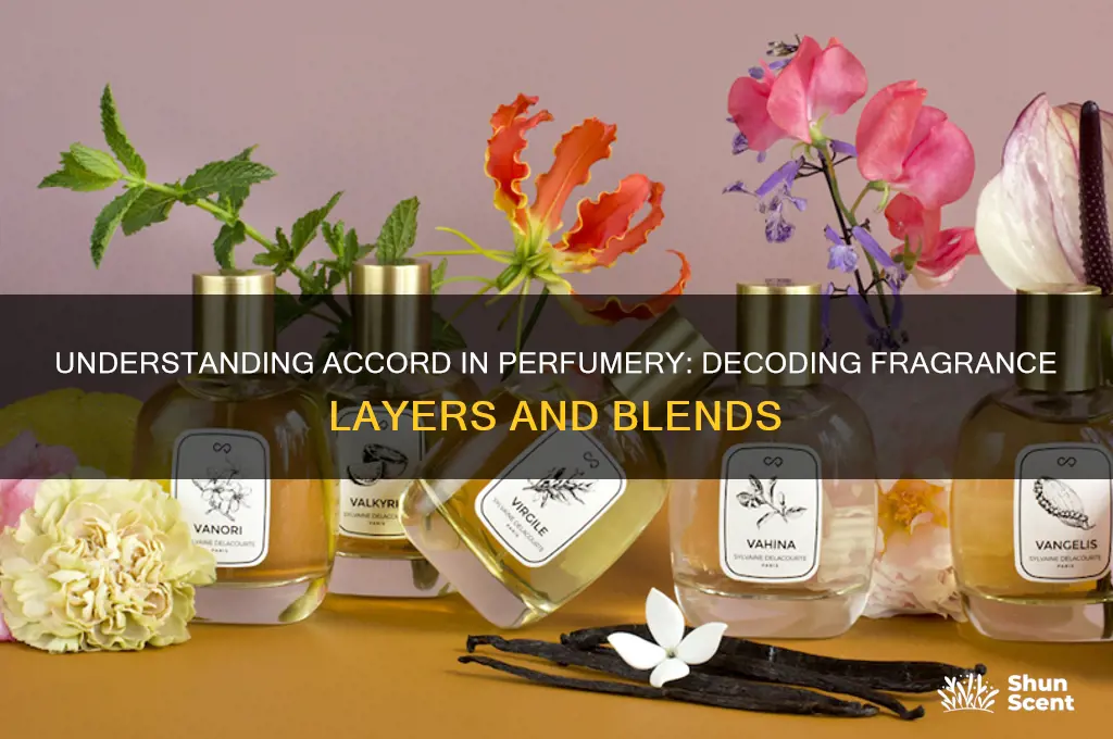 what does a perfume mean when it says accord