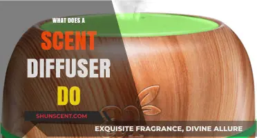 Unleashing Aromatherapy: How Scent Diffusers Transform Your Space