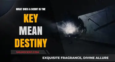 Destiny's Essence: Unraveling the Mystery of Scent and Fate