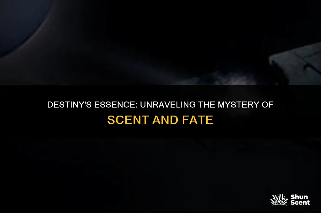 what does a scent is the key mean destiny