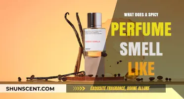 Scents of Spice: What Do Spicy Perfumes Smell Like?