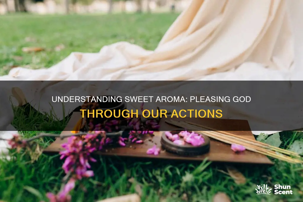 what does a sweet aroma to the lord mean