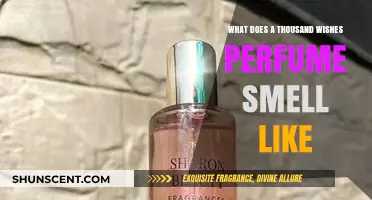 Discover the Magical Scent of a Thousand Wishes