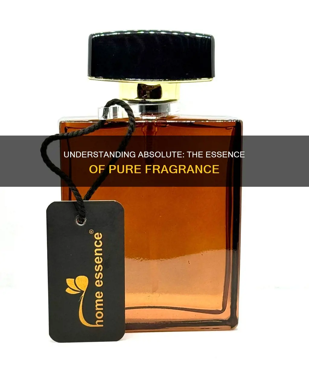 what does absolute mean in fragrance