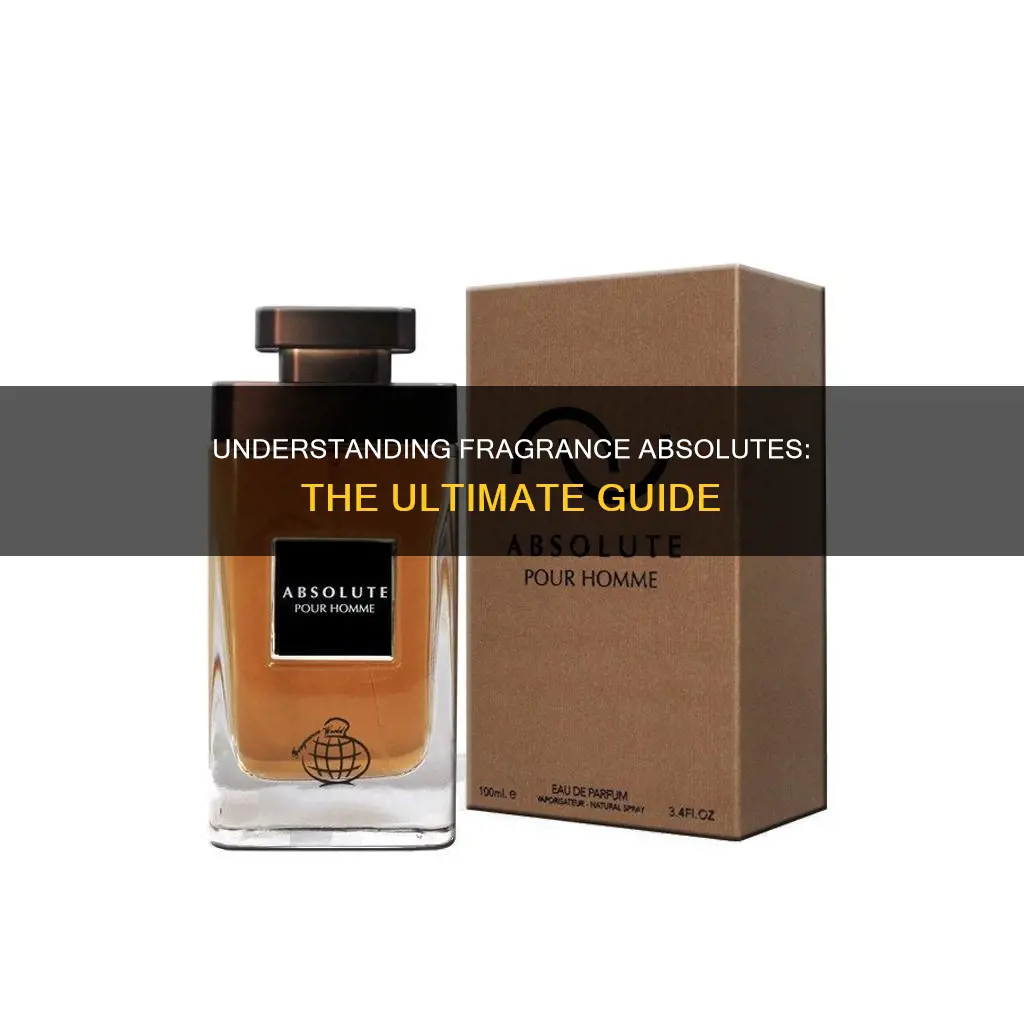 what does absolute mean in fragrance