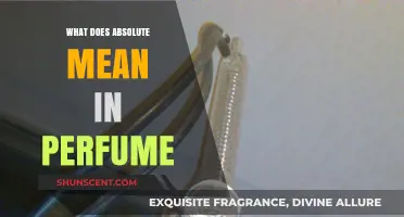Understanding Absolute in Perfumery: Essence, Extraction, and Aromatic Impact