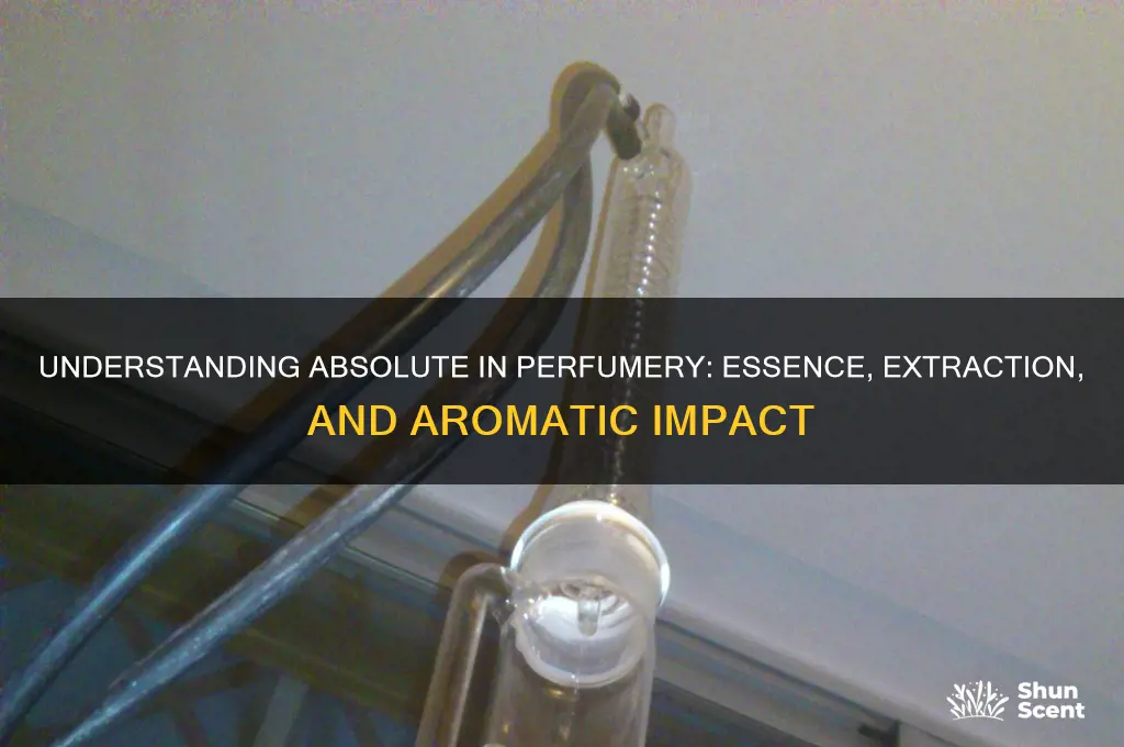 what does absolute mean in perfume