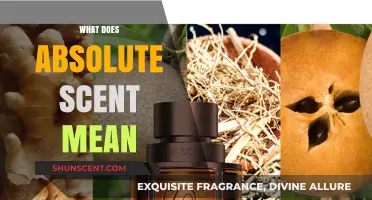 Decoding Absolute Scent: A Journey Through Fragrance Absolutes
