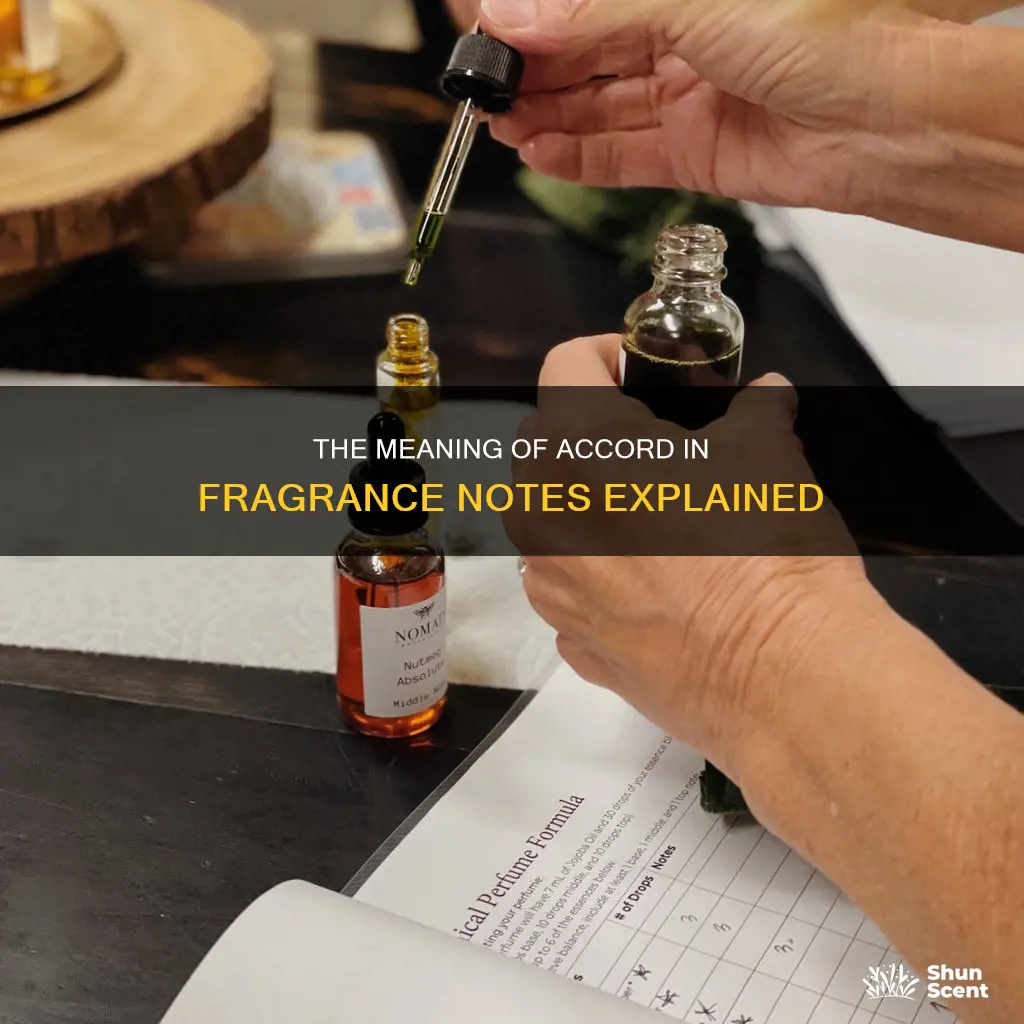 what does accord mean in fragrance