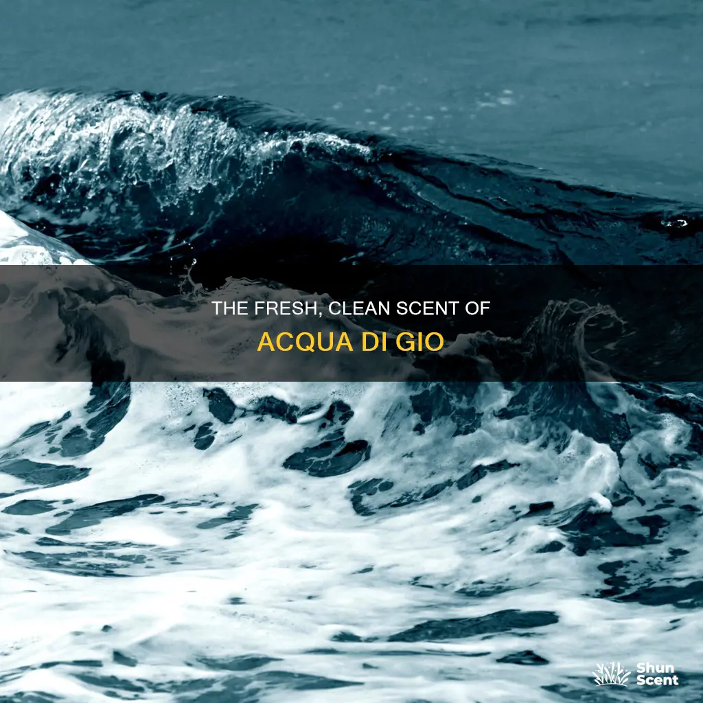 what does acqua di gio perfume smell like