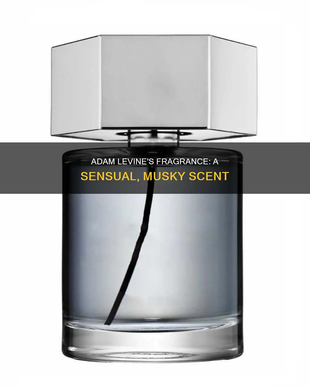 what does adam levine perfume smell like