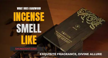 Agarwood Incense: A Fragrant, Woody, and Musky Aroma