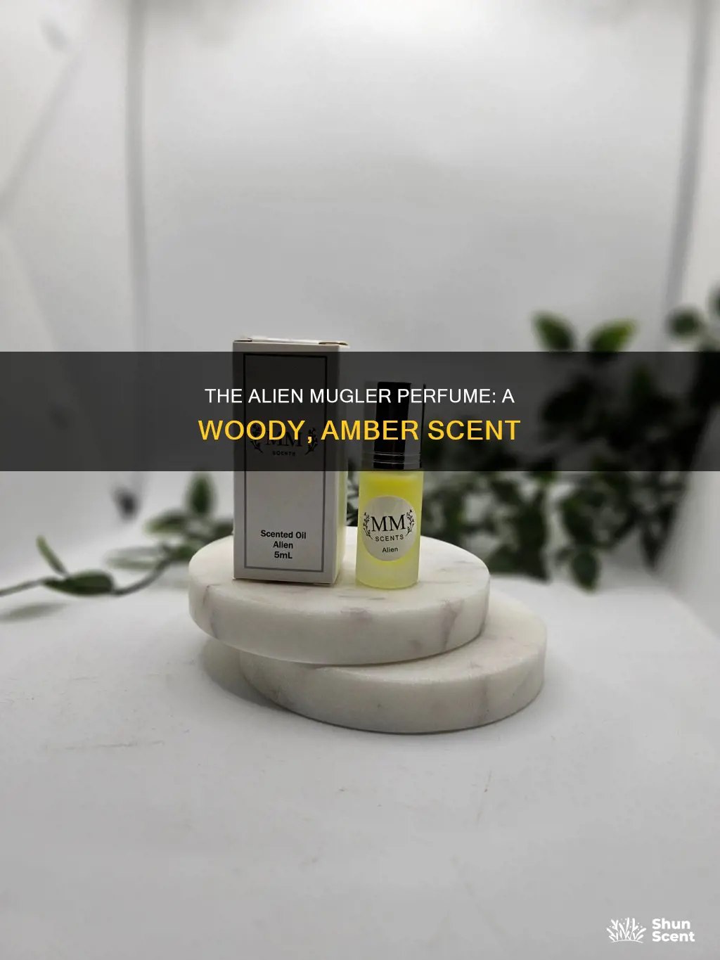 what does alien mugler perfume smell like