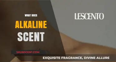 Unveiling the Mysteries of Alkaline Scents: A Comprehensive Guide