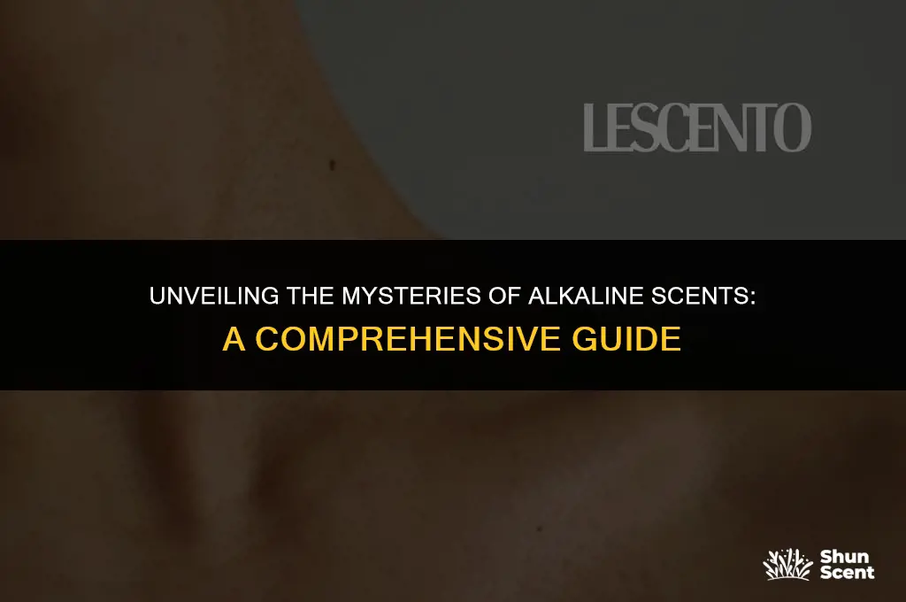 what does alkaline scent