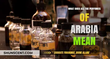 What Does All the Perfumes of Arabia Mean? Unveiling the Metaphor