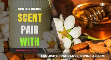 Exploring the Fragrant World: Almond Scent's Perfect Pairings