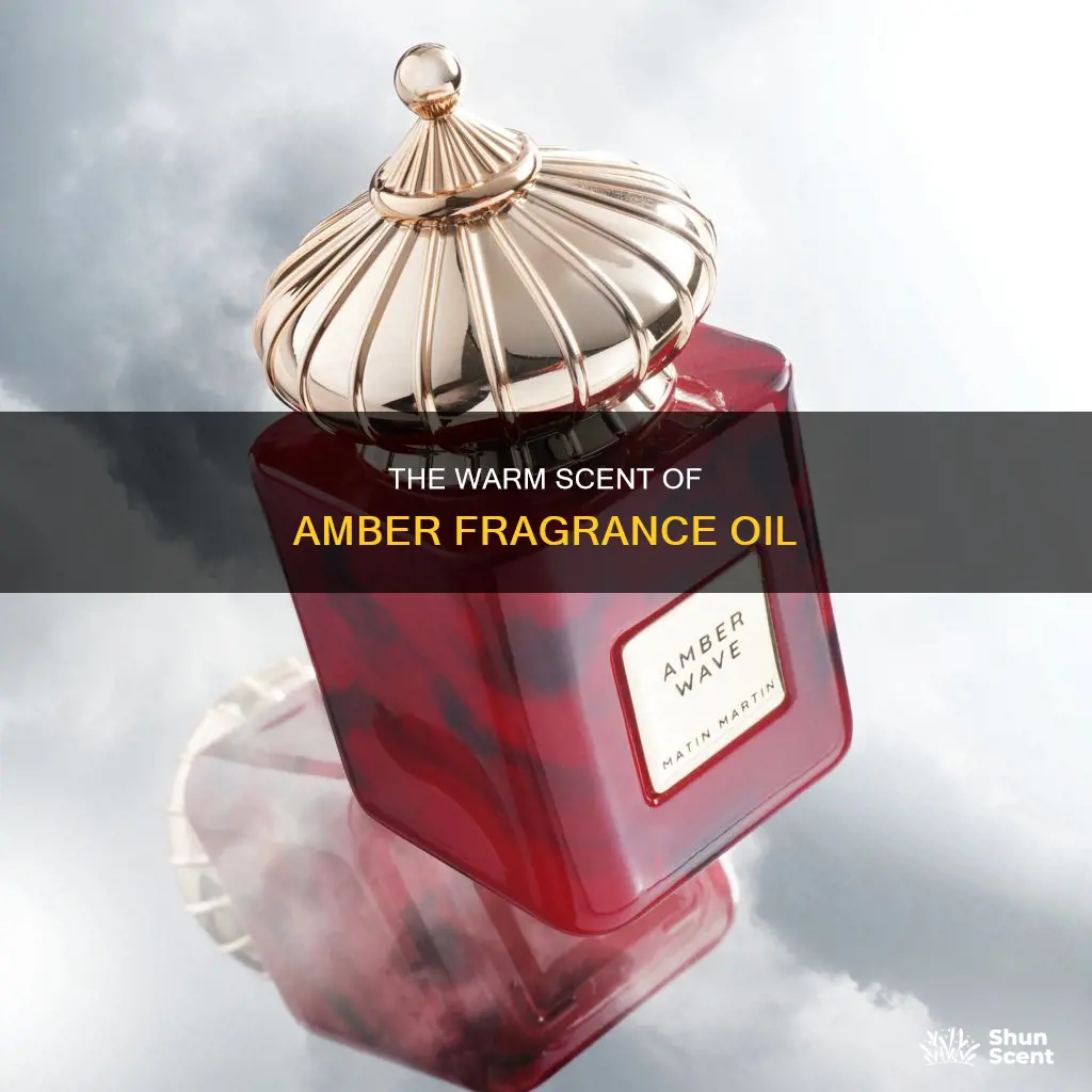 what does amber fragrance oul smell like