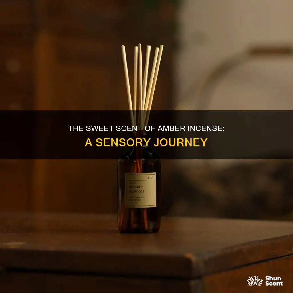 what does amber incense smell like