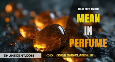 Understanding Amber's Role and Meaning in Perfumery: A Comprehensive Guide