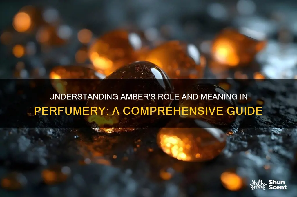 what does amber mean in perfume