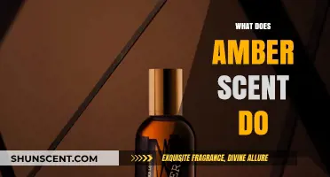 Unveiling the Mystique: How Amber Scent Influences Mood and Memory