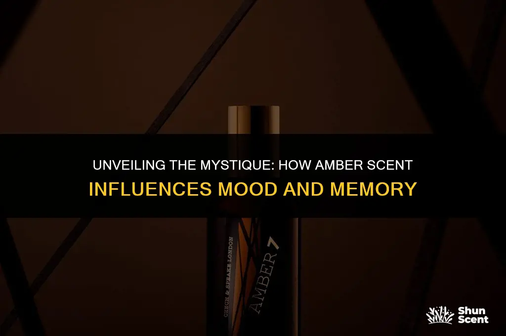 what does amber scent do